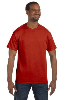 Hanes 5250T - Men's Authentic-T T-Shirt