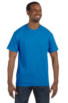 Hanes 5250T - Men's Authentic-T T-Shirt