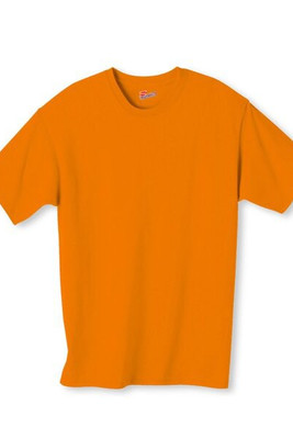 Hanes 5250T - Men's Authentic-T T-Shirt