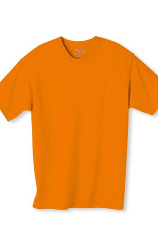 Hanes 5250T - Mens Authentic-T T-Shirt