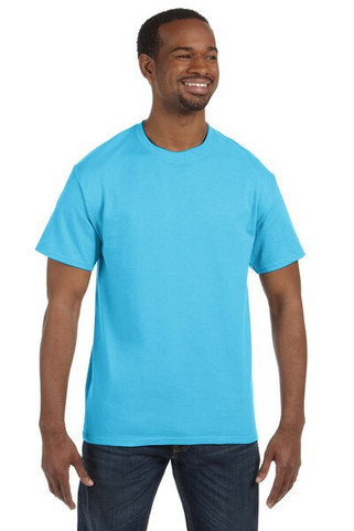 Hanes 5250T - Mens Authentic-T T-Shirt