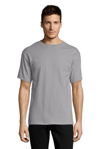 Hanes 5250T - Mens Authentic-T T-Shirt