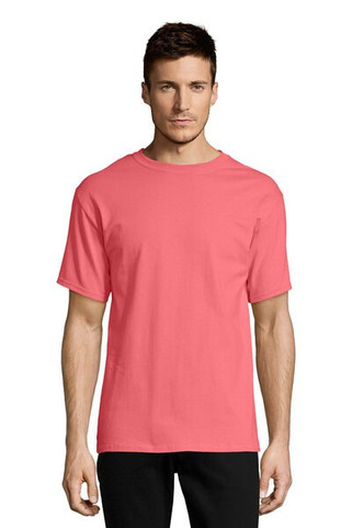 Hanes 5250T - Mens Authentic-T T-Shirt