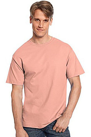 Hanes 5250T - Mens Authentic-T T-Shirt