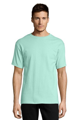 Hanes 5250T - Men's Authentic-T T-Shirt