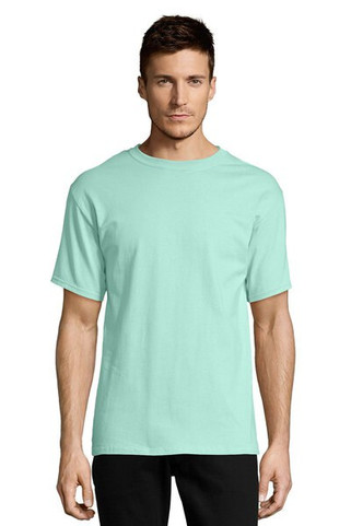 Hanes 5250T - Mens Authentic-T T-Shirt