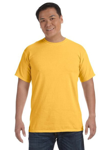Comfort Colors C1717 - Adult Heavyweight T-Shirt