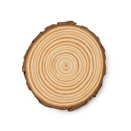 Stamina PV4140 - PINEA Fantastic set of 4 coasters made of natural pine wood