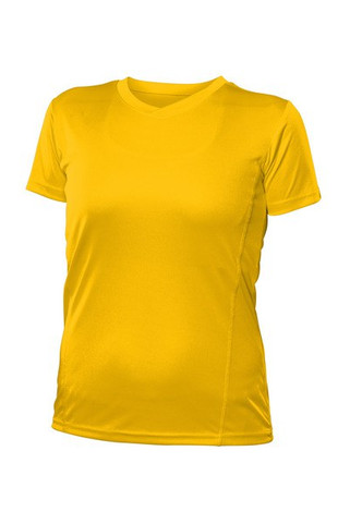 Blank Activewear L720 - Womens Performance V-Neck Moisture-Wicking T-Shirt