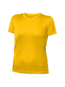 Blank Activewear L720 - Womens Performance V-Neck Moisture-Wicking T-Shirt