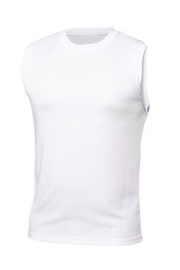Blank Activewear M201 - Mens Tank Top, Birdseye Mesh, 100% Polyester, Dry Fit