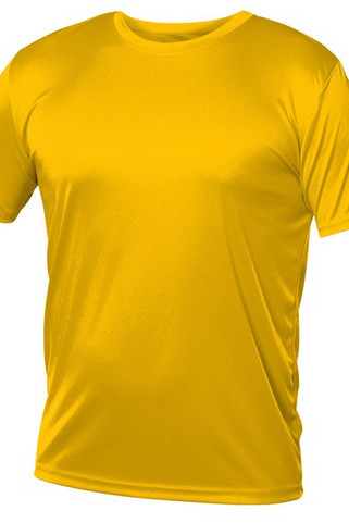 Blank Activewear M720 - Mens Performance Dry Fit Polyester T-Shirt