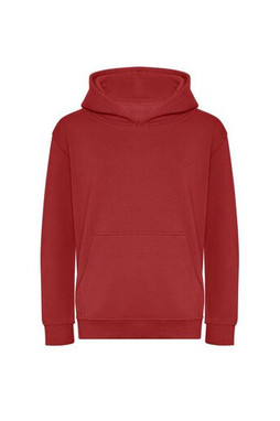 AWDIS JH201J - Sweat capuche en coton Biologique enfant