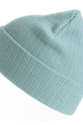 Atlantis AT208 - Recycled polyester beanie