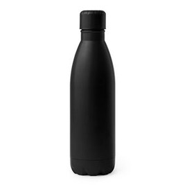 TAREK 304 stainless steel bottle with matte finish - EgotierPro BI4125