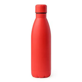 TAREK 304 stainless steel bottle with matte finish - EgotierPro BI4125