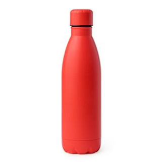 TAREK 304 stainless steel bottle with matte finish - EgotierPro BI4125