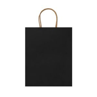 ARCE 110 gsm paper bag in natural finish - EgotierPro BO7538