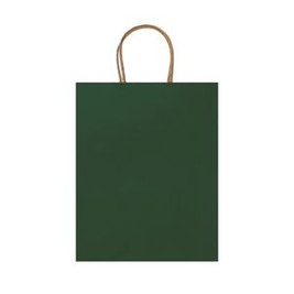 ARCE 110 gsm paper bag in natural finish - EgotierPro BO7538