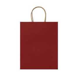 ROBLE 110 gsm paper bag in natural finish - EgotierPro BO7540