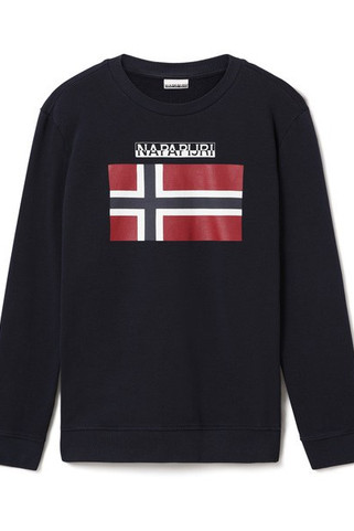 NAPAPIJRI NP0A4EZT - Sweat col rond Bellyn C