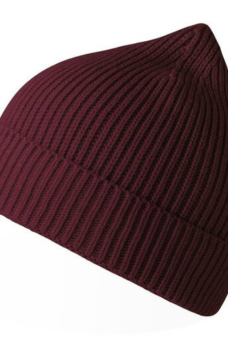 ATLANTIS AT217 - Eco-Friendly Ribbed Knit Beanie Hat