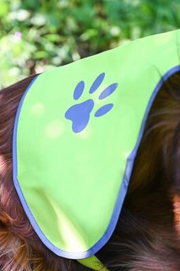 Korntex KXTH - Reflective High Visibility Dog Safety Vest
