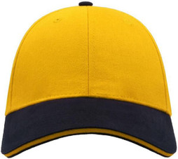 Atlantis ACLISA - Liberty Heavy Brushed Cotton Twill Baseball Cap