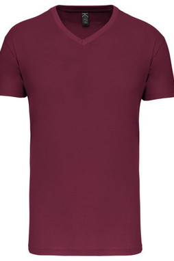 Kariban K3028IC - Mens BIO150IC V-neck t-shirt