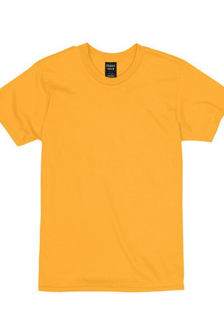 Hanes 4980 - Ringspun Nano-T® T-Shirt