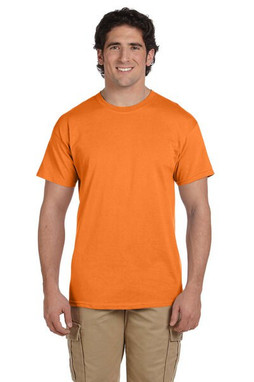 Hanes 5170 - ComfortBlend® EcoSmart® T-Shirt