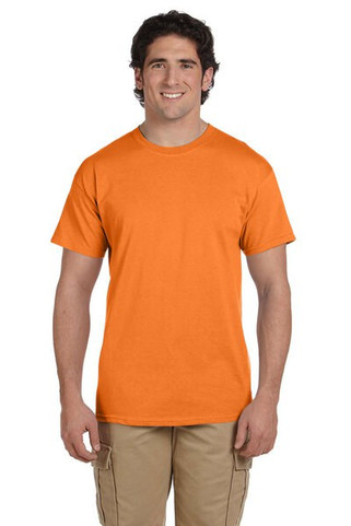 Hanes 5170 - ComfortBlend® EcoSmart® T-Shirt