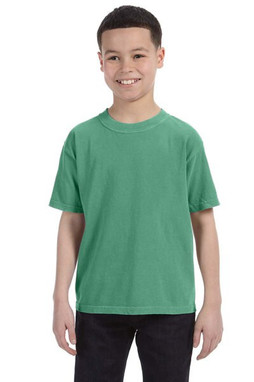 Comfort Colors 9018 - Remera teñida para jóvenes 