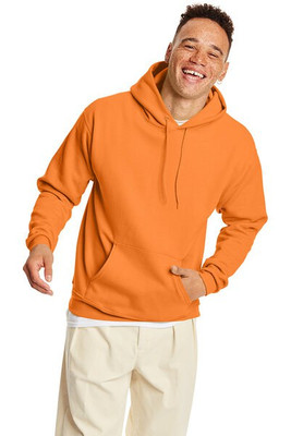 Hanes P170 - EcoSmart® Hooded Sweatshirt