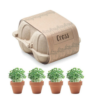 CRESS Terracotta Cress Growing Kit in Egg Carton - GiftRetail MO6886