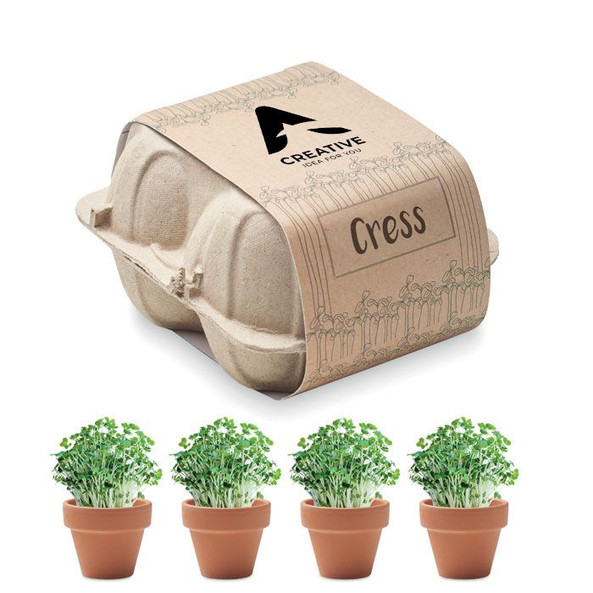 GiftRetail MO6886 - CRESS Terracotta Cress Growing Kit in Egg Carton