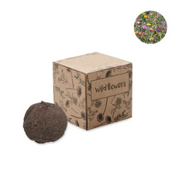 GiftRetail MO6908 - BOMBI Eco-Friendly Wildflower Seed Bomb Kit