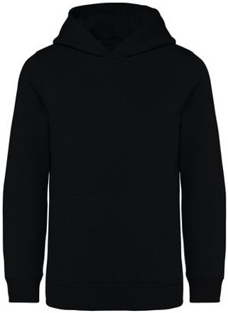 Native Spirit NS404 - Sweat capuche enfant - 350g