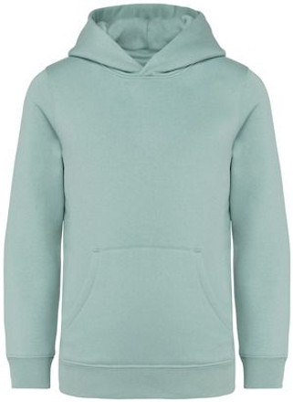 Native Spirit NS404 - Kids’ hooded sweatshirt - 350gsm