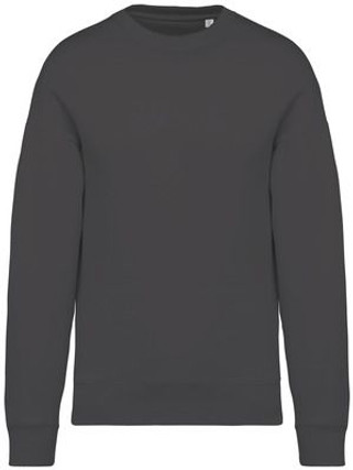 Native Spirit NS407 - Sweat oversize unisexe - 300g