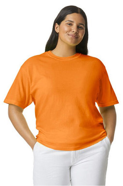 Comfort Colors C1717 - Adult Heavyweight T-Shirt