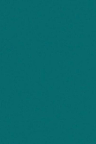 Dae Ha DHOF - Ultra-Thin Premium PU Vinyl Transfer Film