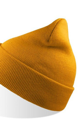 ATLANTIS HEADWEAR AT235 - Eco-Friendly Double Layer Embroidery Beanie