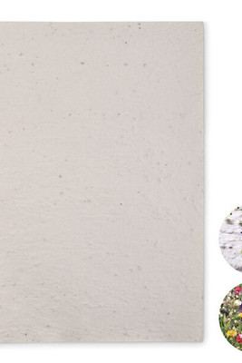 ASIDI Eco-Friendly A4 Wildflower Seed Paper Sheets - GiftRetail MO6914