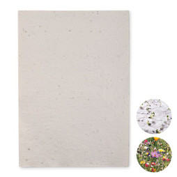 GiftRetail MO6914 - ASIDI Papel sementes de flores A4