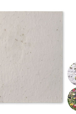 ASIDE Eco-Friendly A5 Wildflower Seed Paper Sheets - GiftRetail MO6915