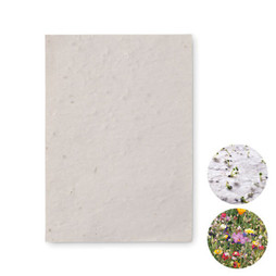 GiftRetail MO6916 - ASIDO Papel sementes de flores A6