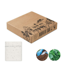 GiftRetail MO6926 - ROLL 3 Meter Herb Seed Tape with Basil, Parsley, and More