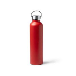 FRESKI 304 stainless steel thermal bottle in matt finish - EgotierPro BI1357