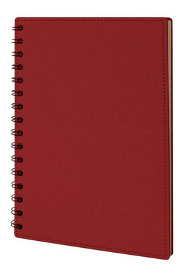 Goya 50675 - Recycled Cardboard Notebook, 60 Lined Sheets CASEN